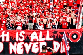 开元体育平台-西甲倒计时，密尔沃基雄鹿窗口期伤情更新，细节引发关注，悬念犹存，资深球员宣示担当的简单介绍